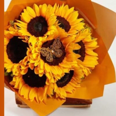 🌻 Caja Sol Dorado