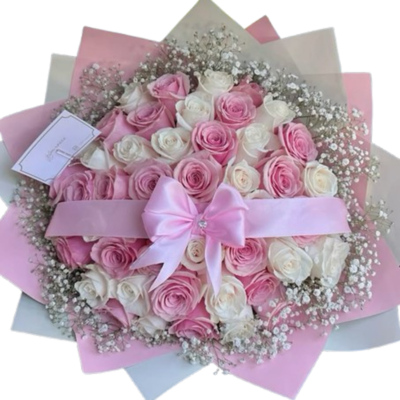 Rosas de Ensueño