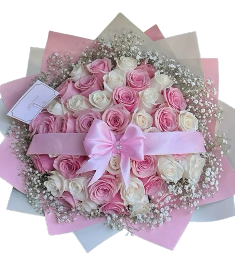 Rosas de Ensueño