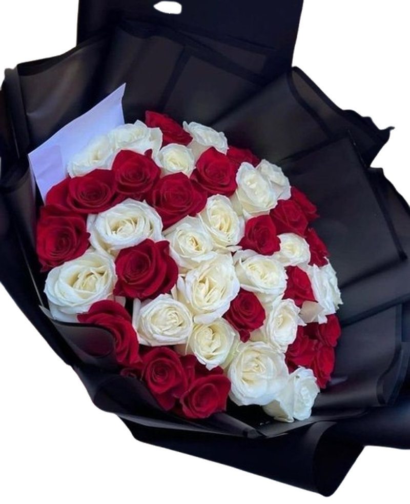 Elegancia Carmesí