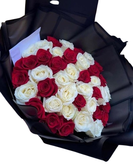 Elegancia Carmesí