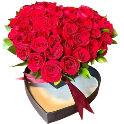 Corazón Carmesí Premium