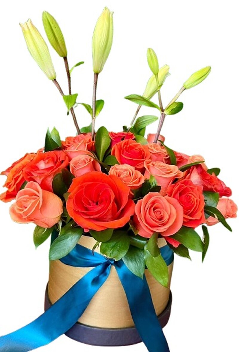 Caja Coral Tropical
