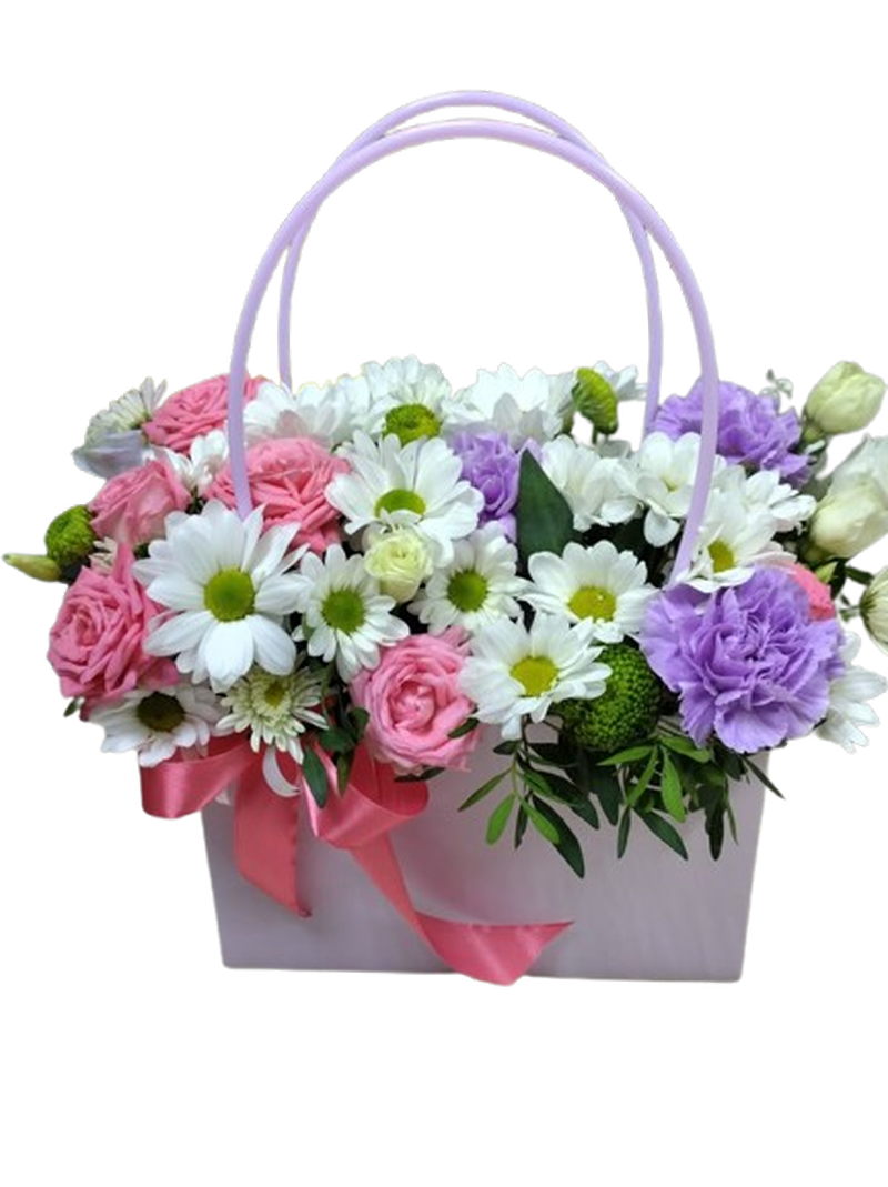 Bolsa Lila Serena