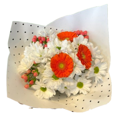 Ramo Gerberas Coral
