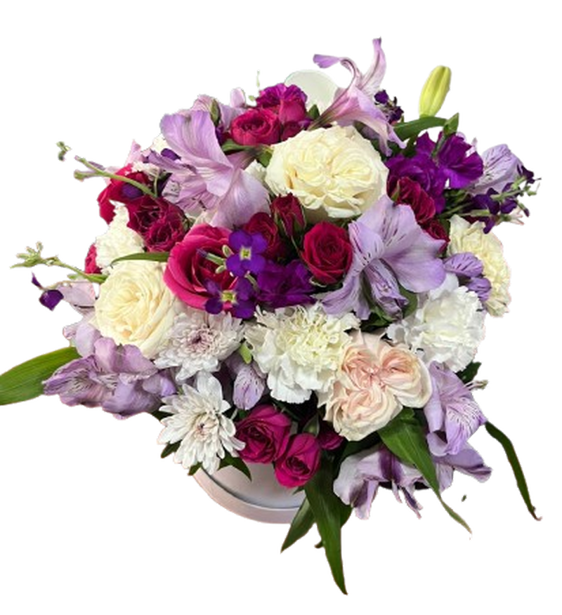 Ramo Violeta