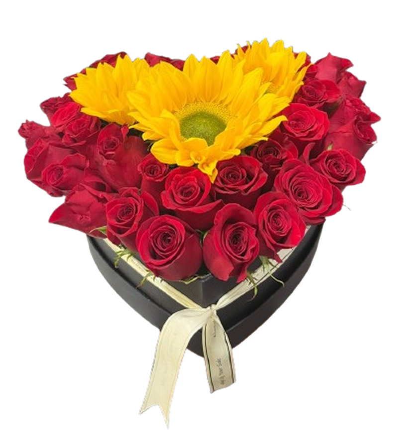 Corazón Solar