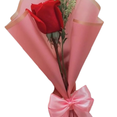 Un Solo Amor