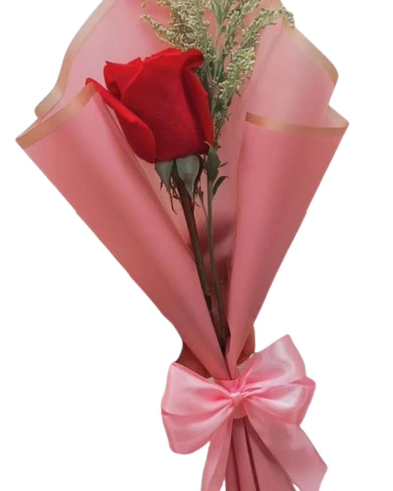 Un Solo Amor